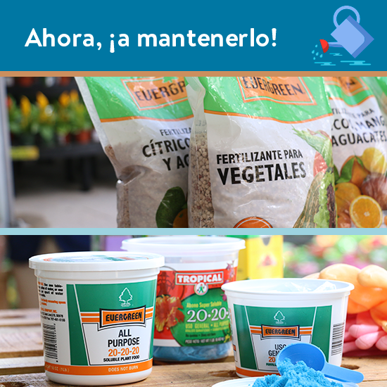 ahora a mantenerlo