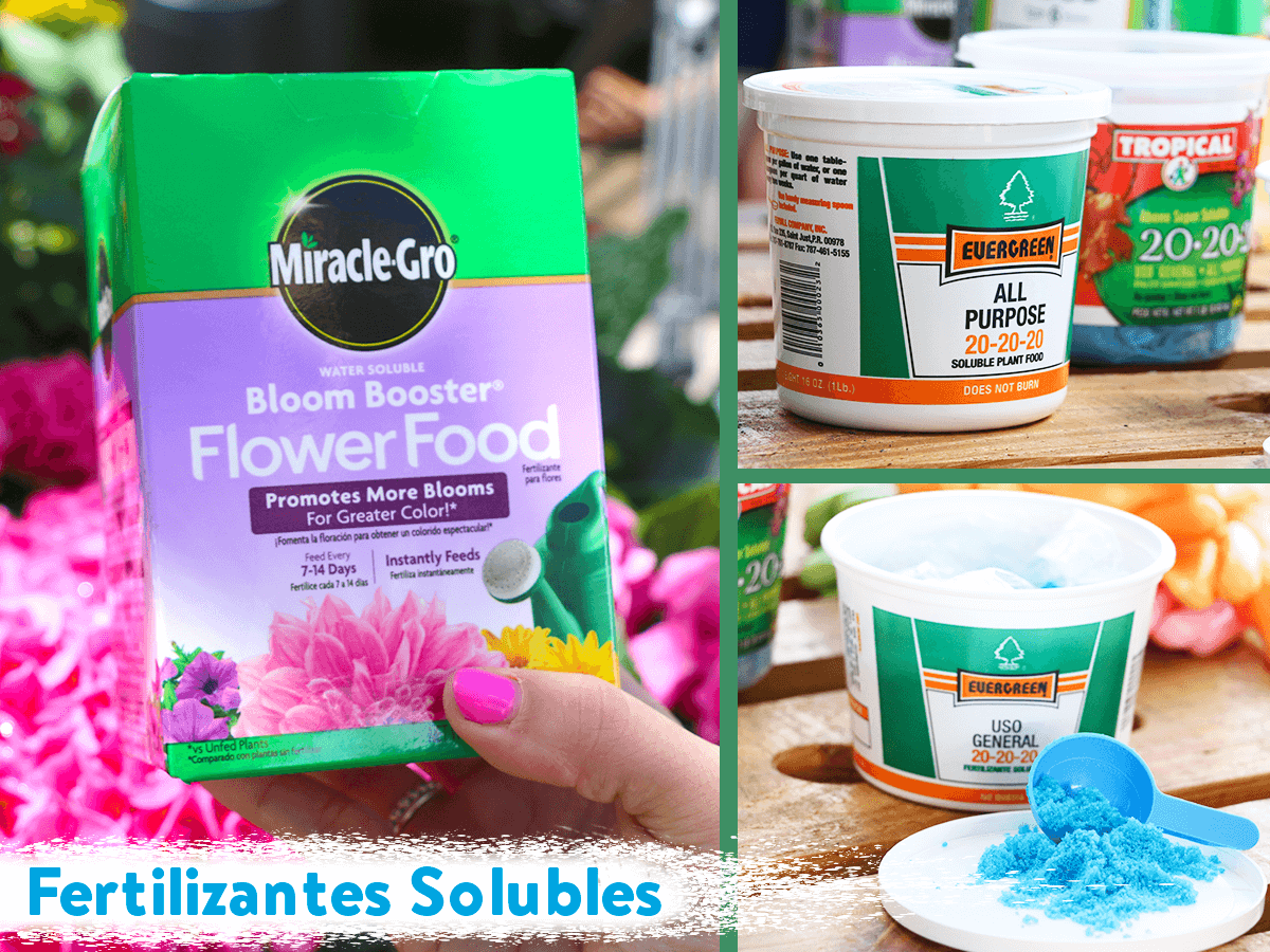 Fertilizantes-Solubles